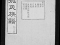 旌德板桥姚氏族谱 [10卷, 首末各1卷]  14冊, 1889 (155)