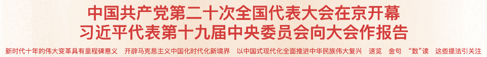 习近平代表第十九届中央委员会向大会作报告