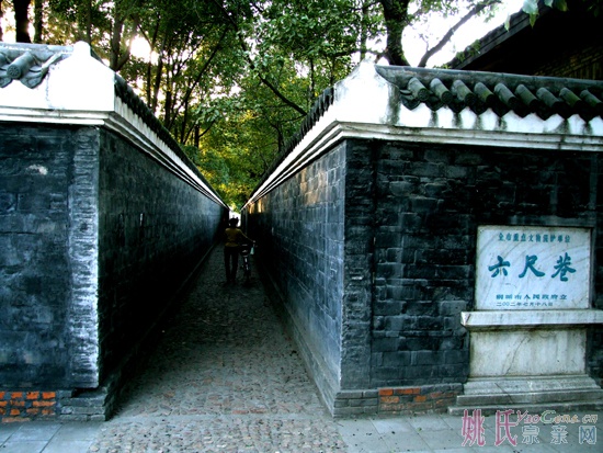 1719614_909297.jpg