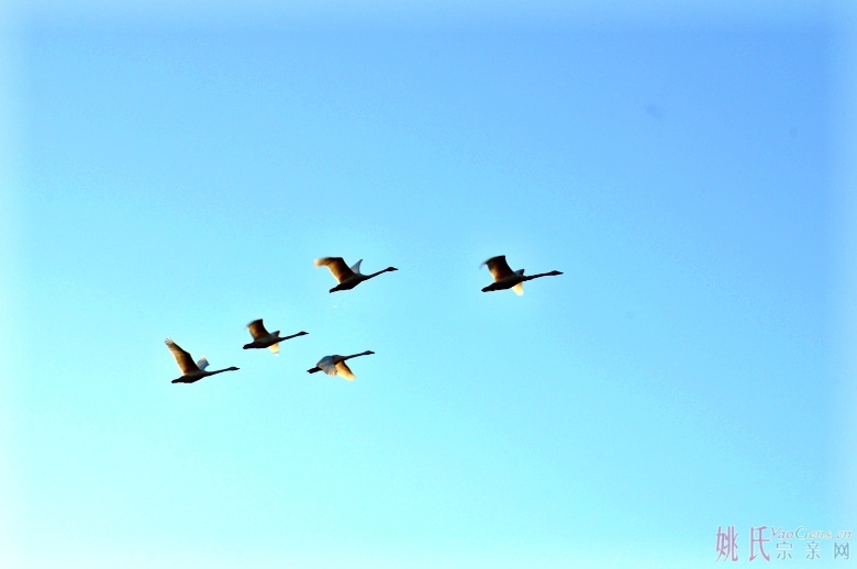 起程01_conew1.jpg 起程01_conew1.jpg