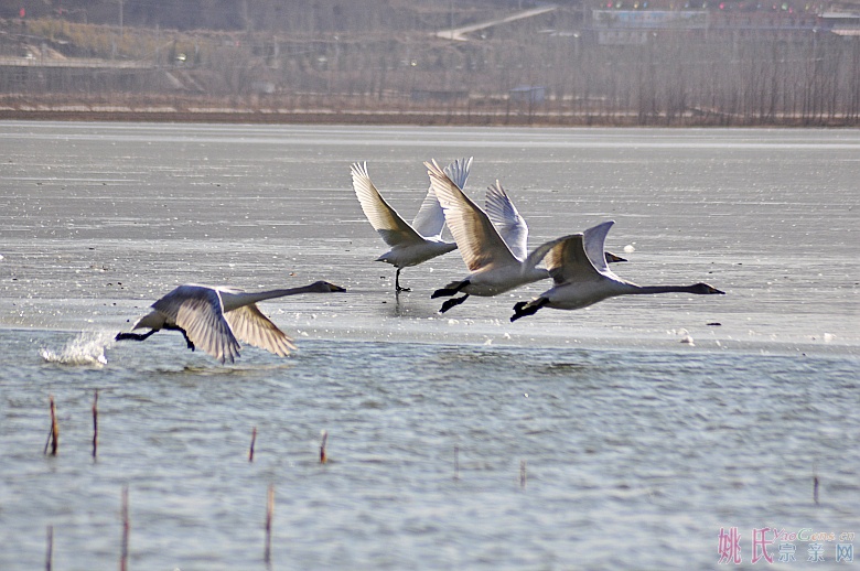 起航01_conew1.jpg 起航01_conew1.jpg