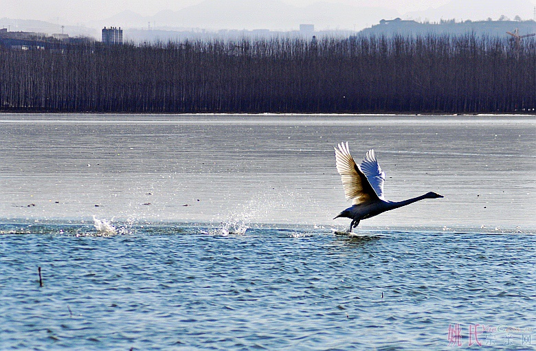 起航02_conew1.jpg 起航02_conew1.jpg