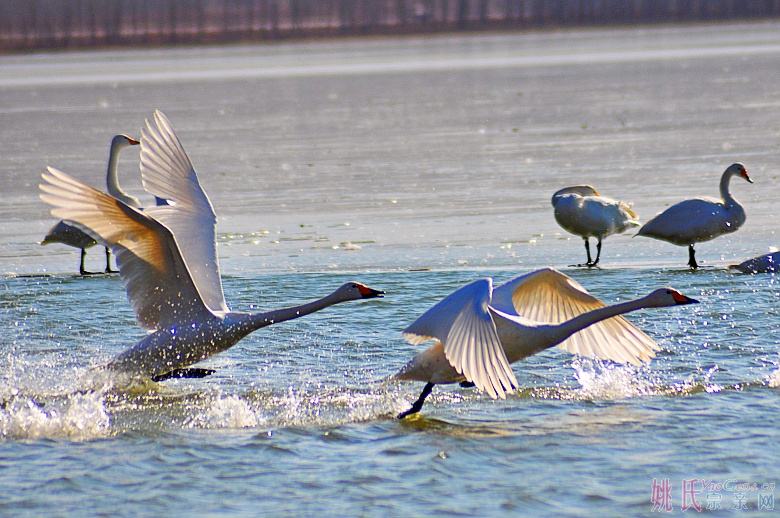 起航03_conew1.jpg 起航03_conew1.jpg