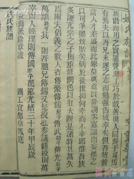 131051unqbenp6n0qc8155.jpg.thumb.jpg