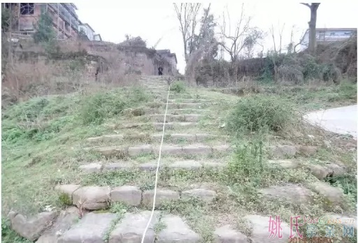 ʯŪͷ