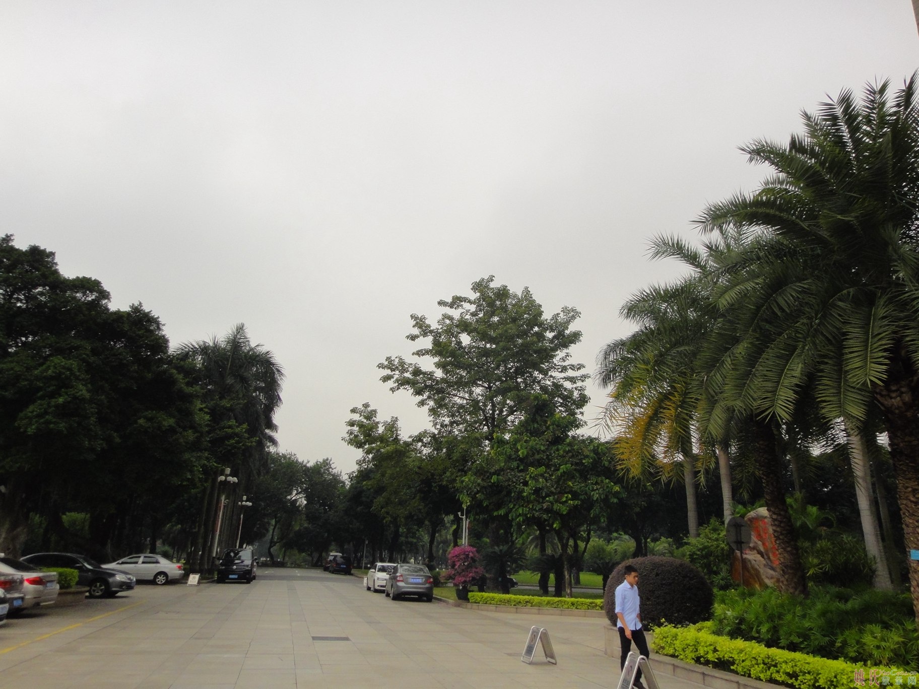 DSC07367.JPG