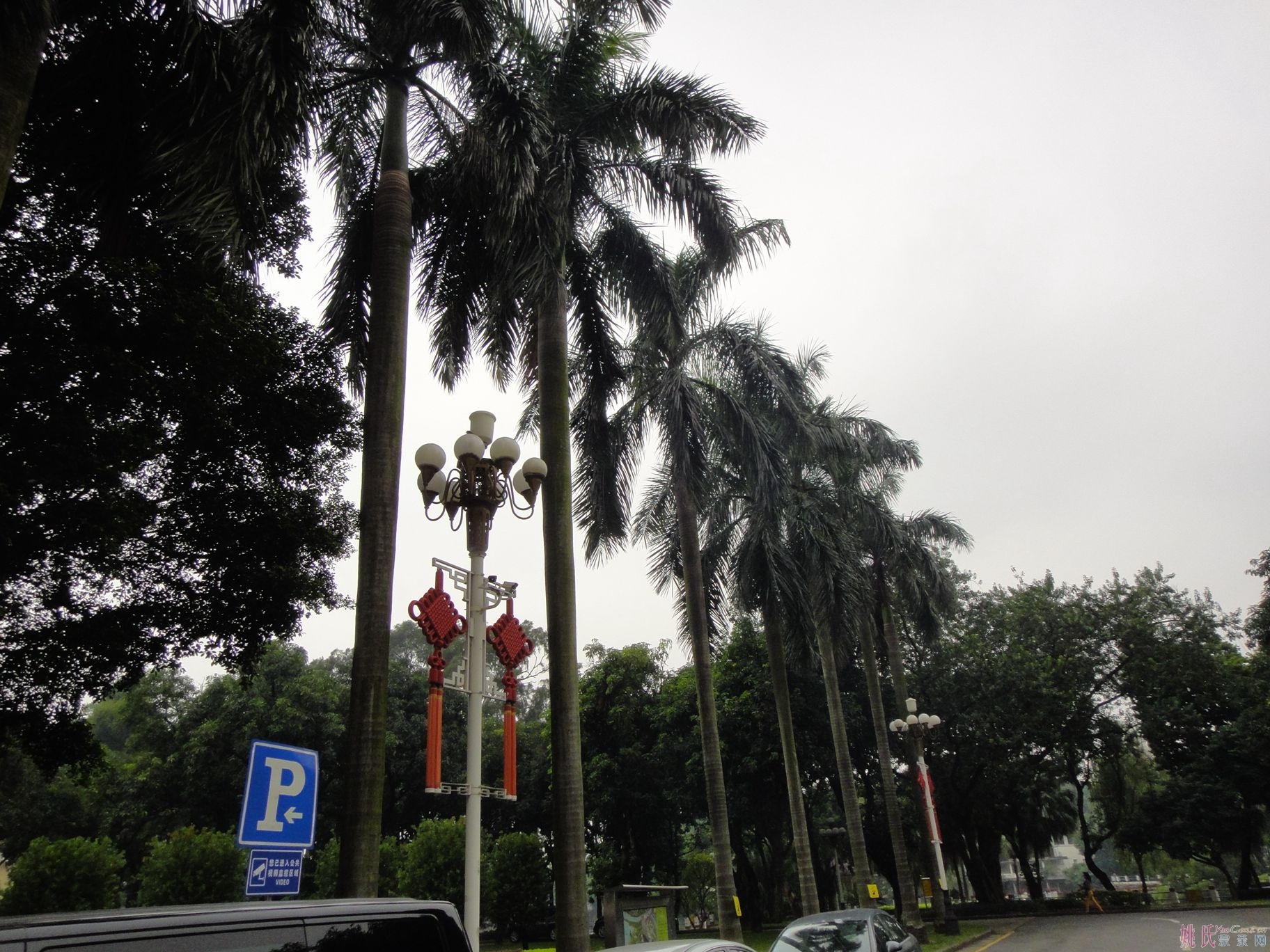 DSC07368.JPG