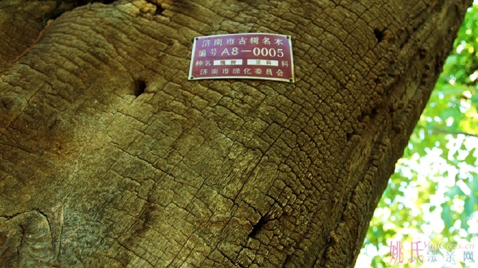 62c56d7fjw1f2fejo6n1ij20m80chwlr.jpg