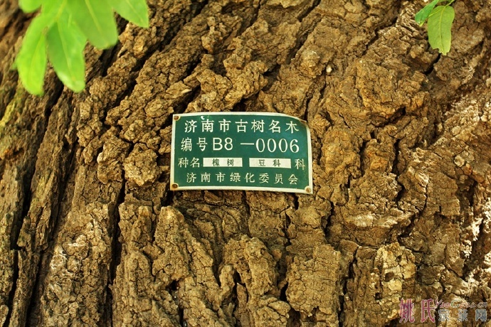 62c56d7fjw1f2fejpo6f7j20m80etwna.jpg