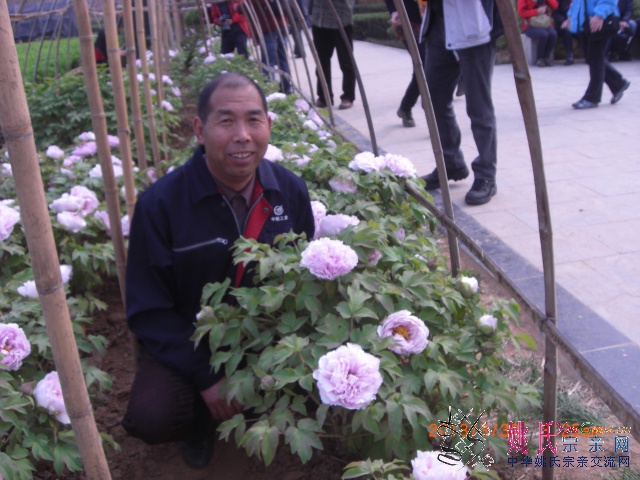 CIMG0062.JPG
