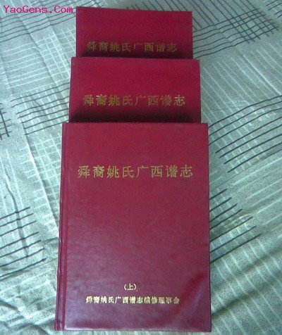 舜裔姚氏广西家族的特征概况,姚氏宗亲网