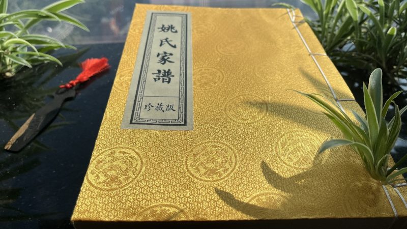 传家宝典,每个姚氏家庭都需要这样一部《姚氏家谱》