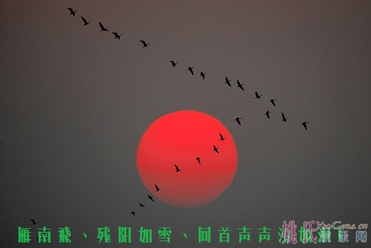 u=2746173608,3904075635&amp;fm=56.jpg