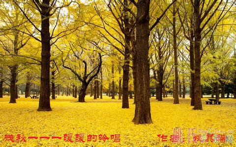 u=3837518626,2209589207&amp;fm=23&amp;gp=0.jpg