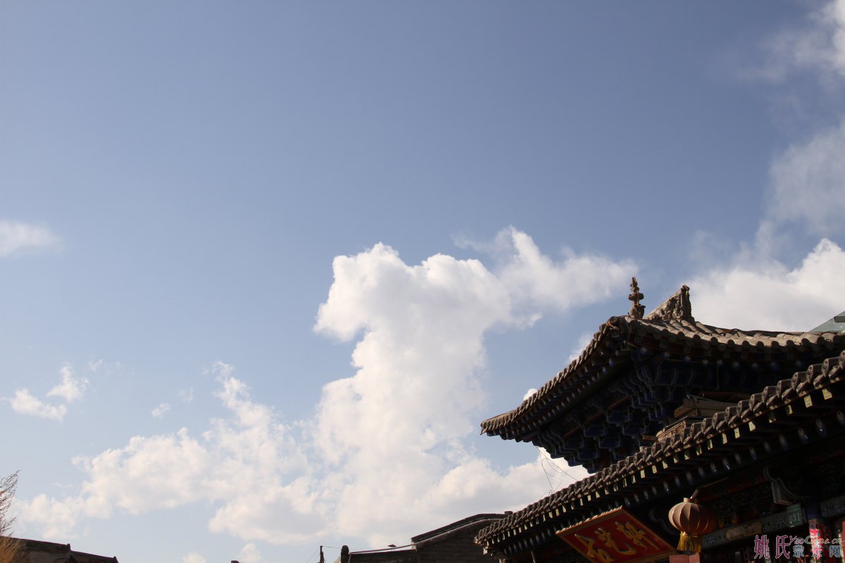 照片 187_1200x800.jpg