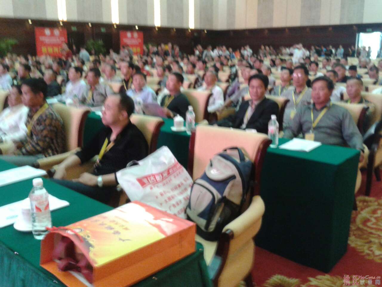 广西姚氏宗亲理事会成立大会