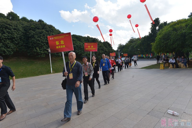 各地宗亲代表列队走进广西姚氏宗亲会成立大会会场 (7).JPG