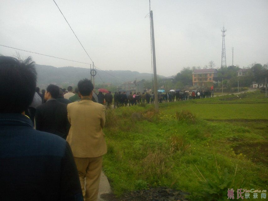 QQ图片20150410195545.jpg