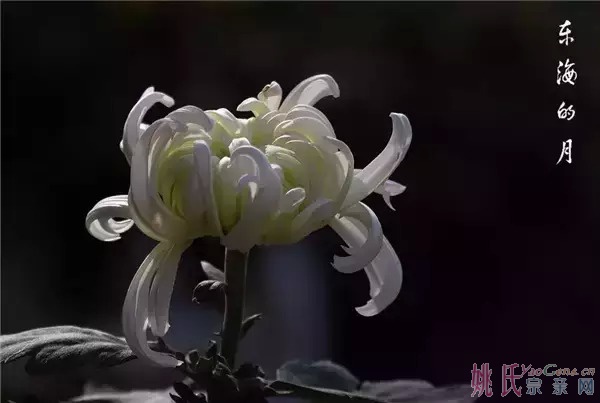 74021764298573189.jpg