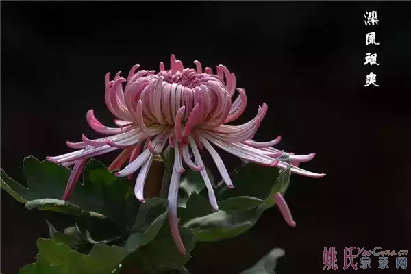 597054036435287842.jpg