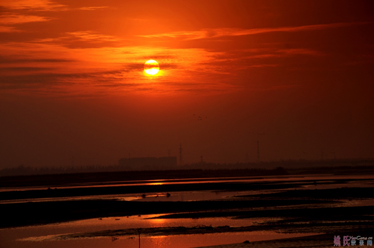 选13_conew1.jpg