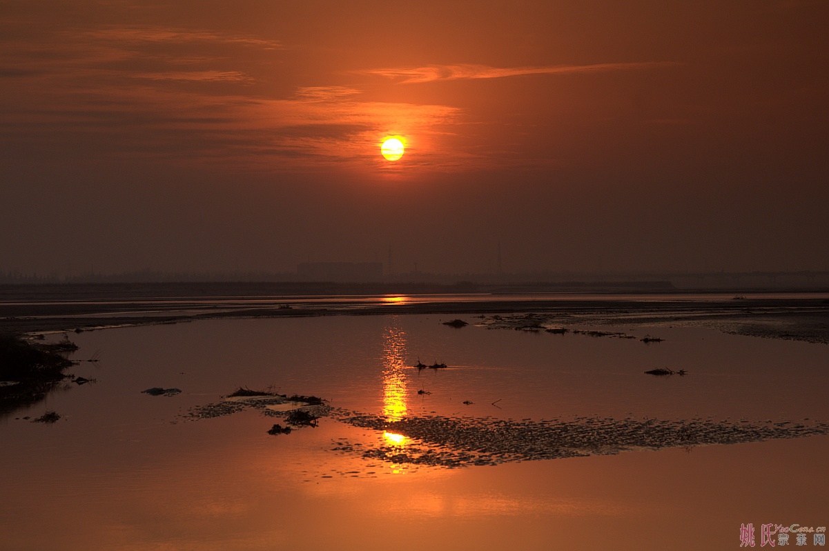 选16_conew1.jpg