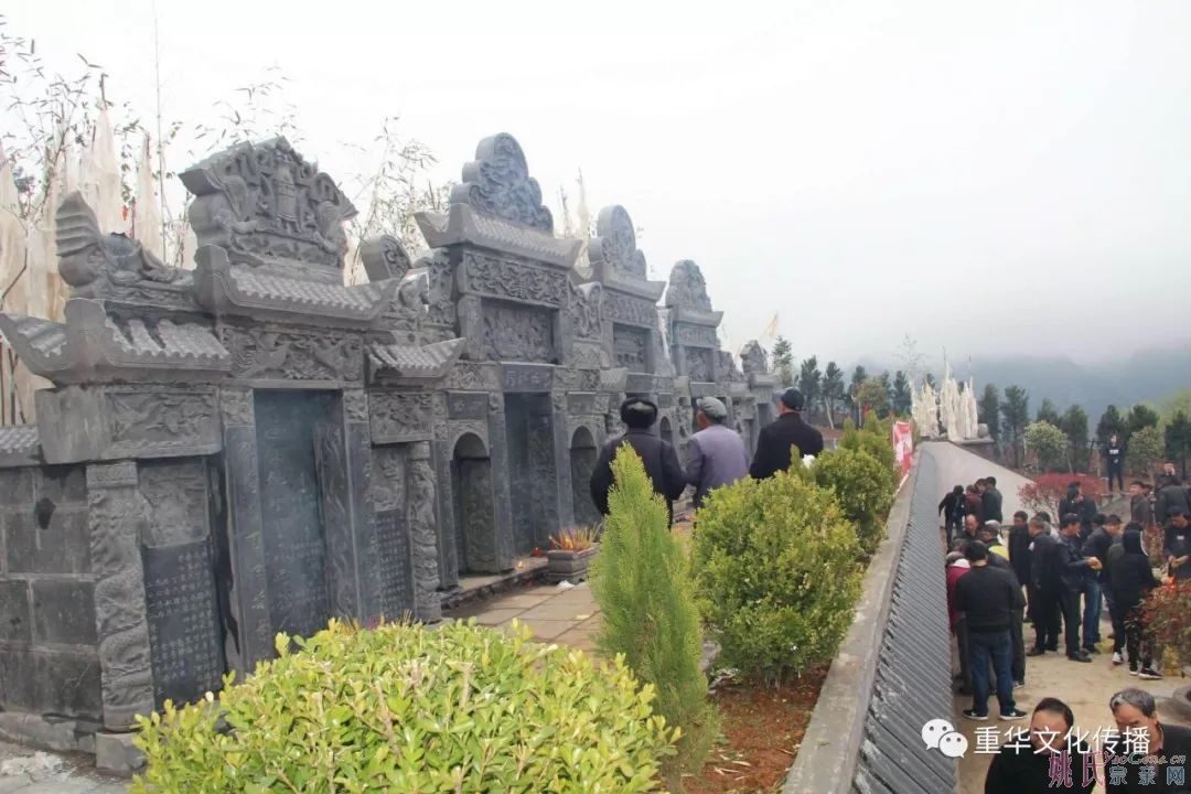 百花盛开祭先祖 黔峰姚氏迎贵宾