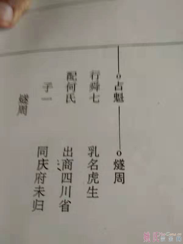 寻访袁州古江塘姚氏