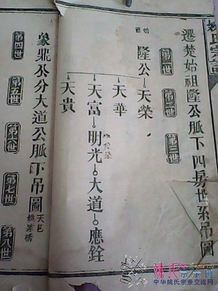 未命名-11_450_600.jpg