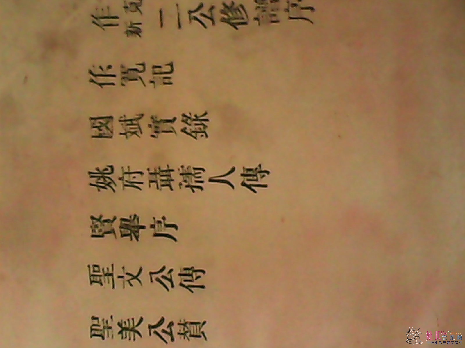 IMG_20121124_141107.jpg