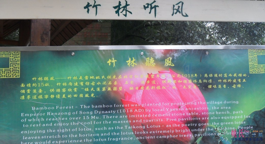 竹林听风.jpg