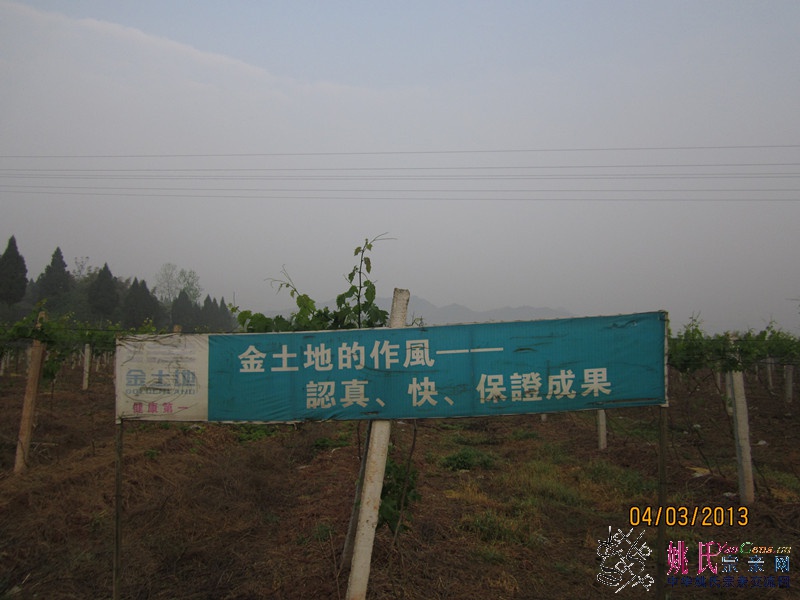 IMG_0707_副本.jpg